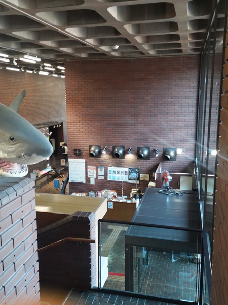 埼玉県立自然の博物館の建物内部